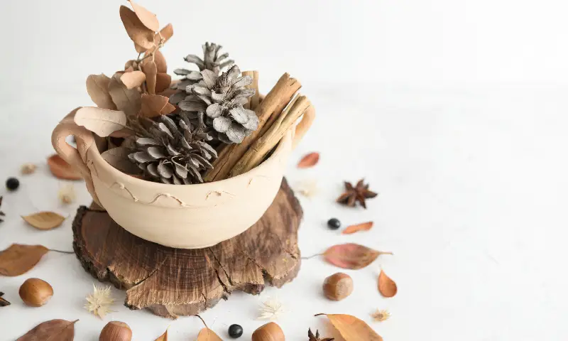 Minimal still-life arrangement of natural wooden elements, pine cones, dried leaves, cinnamon sticks, and spices placed in a ceramic bowl on a wooden base, creating a warm and earthy aesthetic.